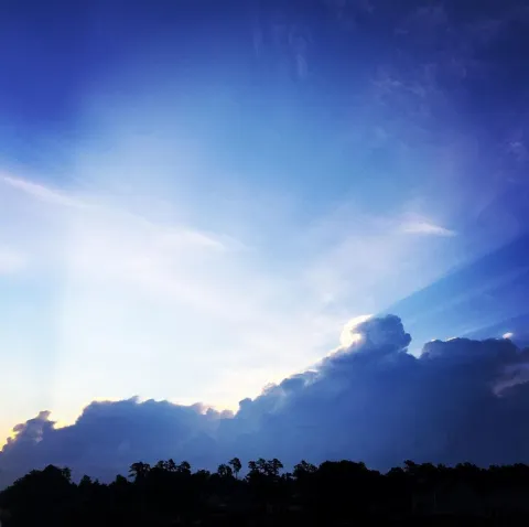 Sky, Sunlight, Clouds & Trees