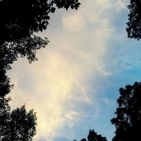 Blue Sky, Clouds & Trees