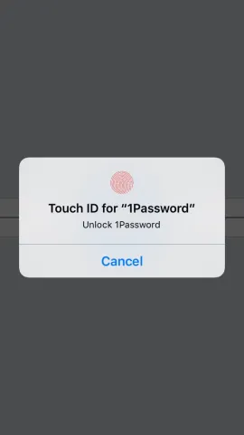 Fingerprint Password