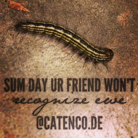 Catepillar