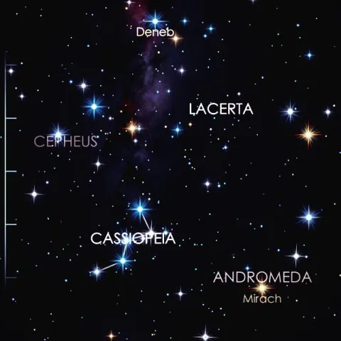 Perseid Starwalk