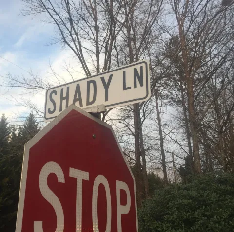 Shady Lane and Stop Sign