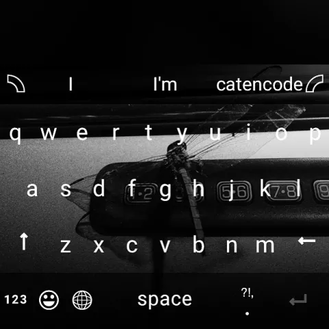 Text Suggestions "I I'm catencode"