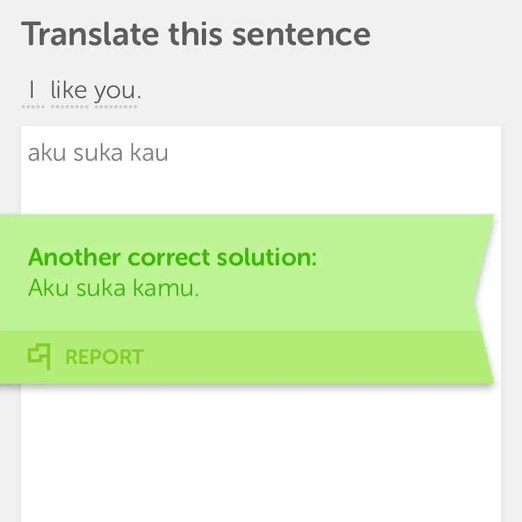 EN:ID I Like You:Aku Suka Kau