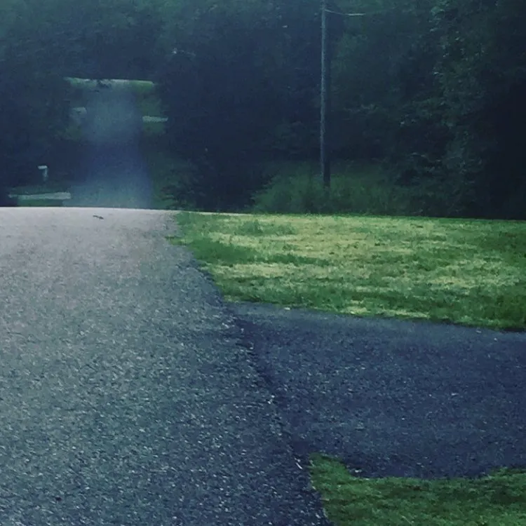 Neighborhood Street